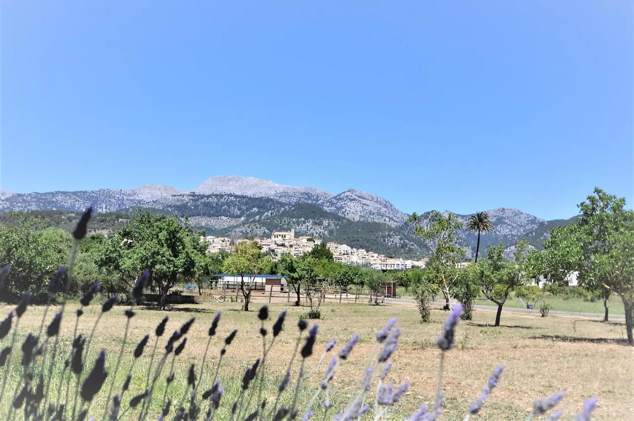 Finca Son Rubi A Los Pies De Serra Tramuntana Selva  0*, Selva (Mallorca) Spain